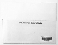 Corinectria fuckeliana image